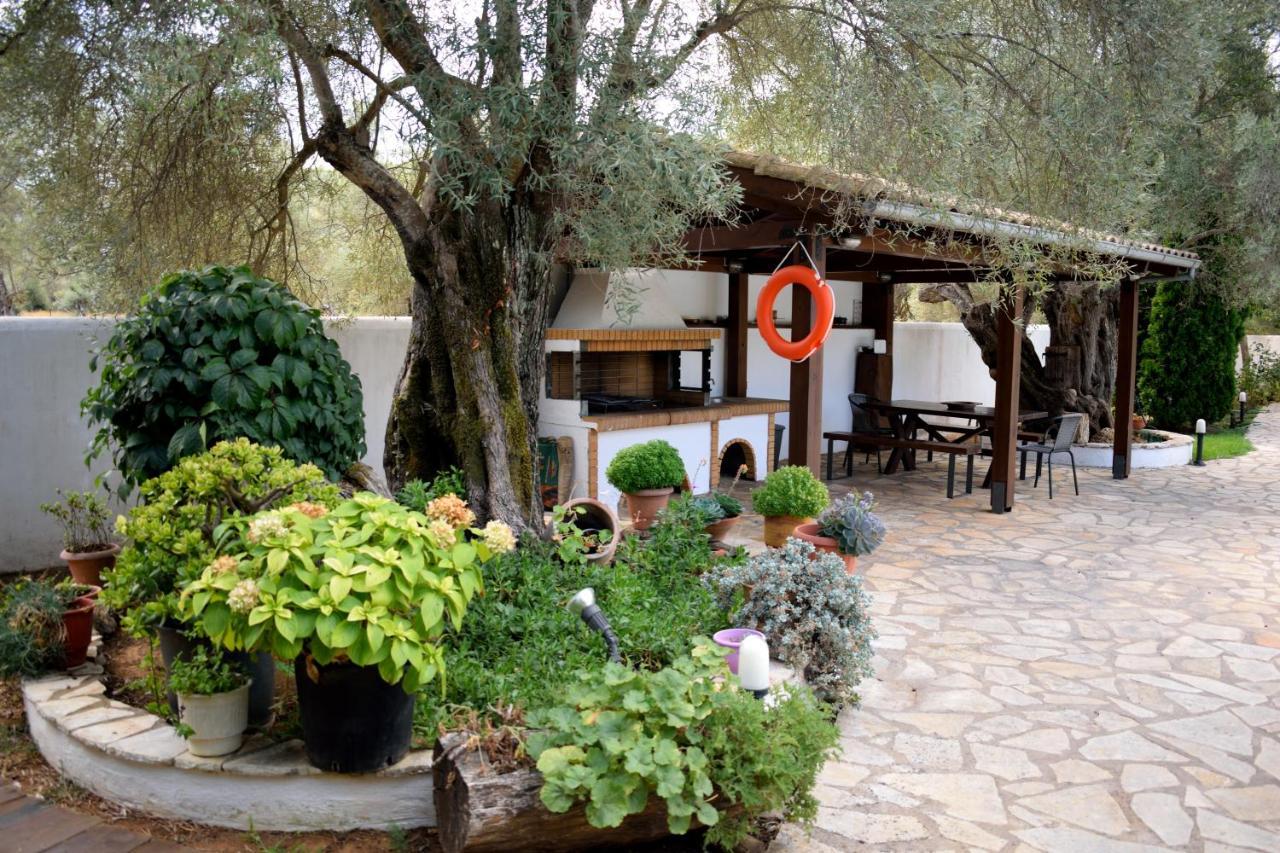 Villa Dioni Lefkáda Dış mekan fotoğraf